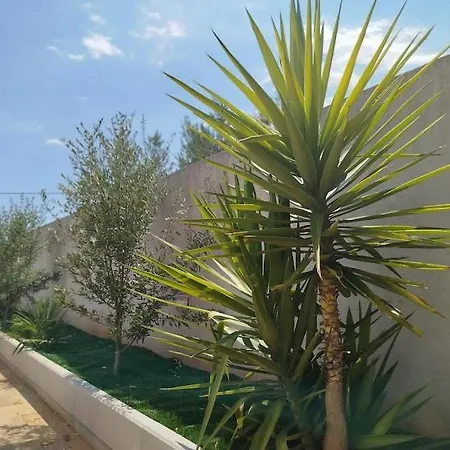 Blazen فيلة Bogomolje